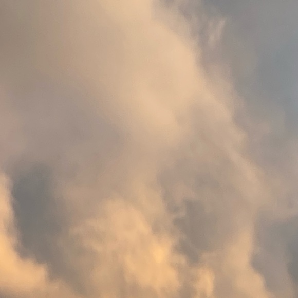 Meet your Posher, Manny - Picture 1 of 1